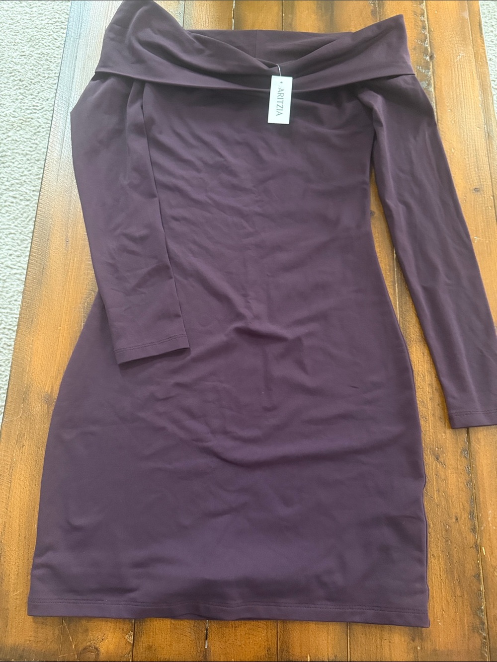 Aritzia One-Shoulder Long Sleeve Dress in Plum